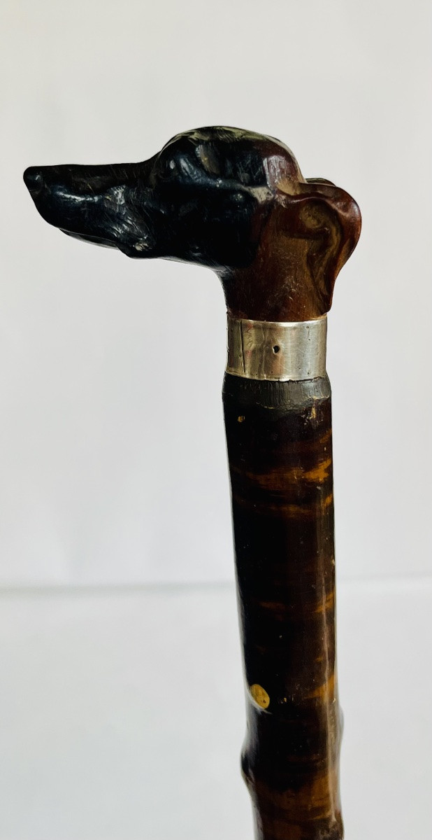 Canne de marche -photo-5